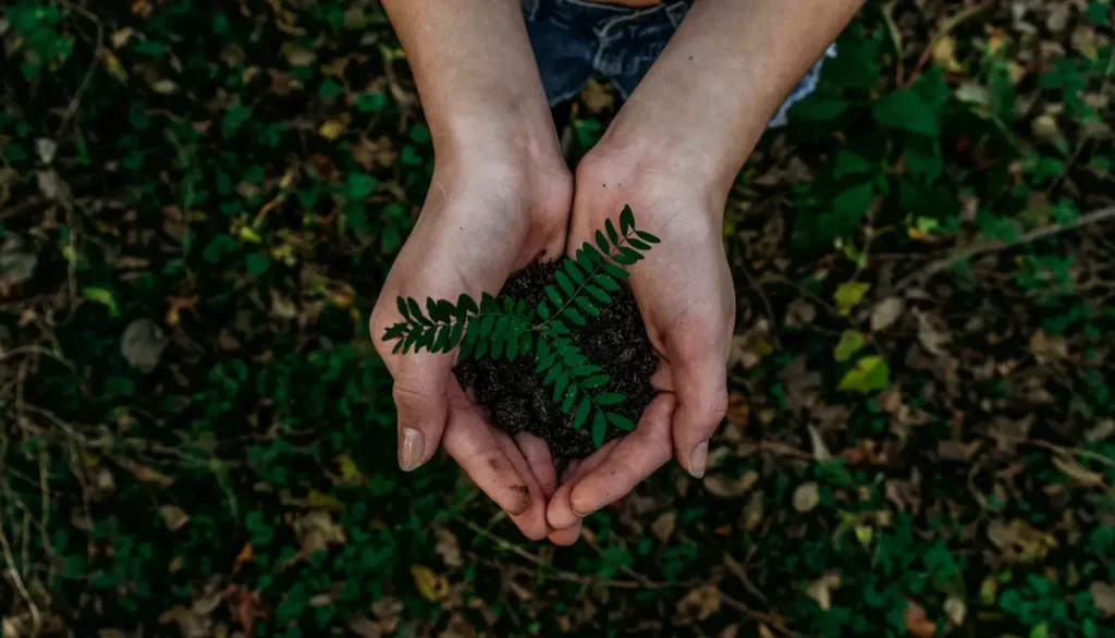 Greenminded Bedreklima
